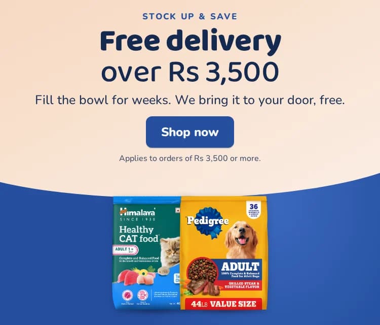 Stock up and save: free delivery on orders over Rs 3,500. Shop now