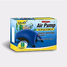 Pumps & Accessories