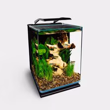 Tanks, Aquarium Kits & Stands