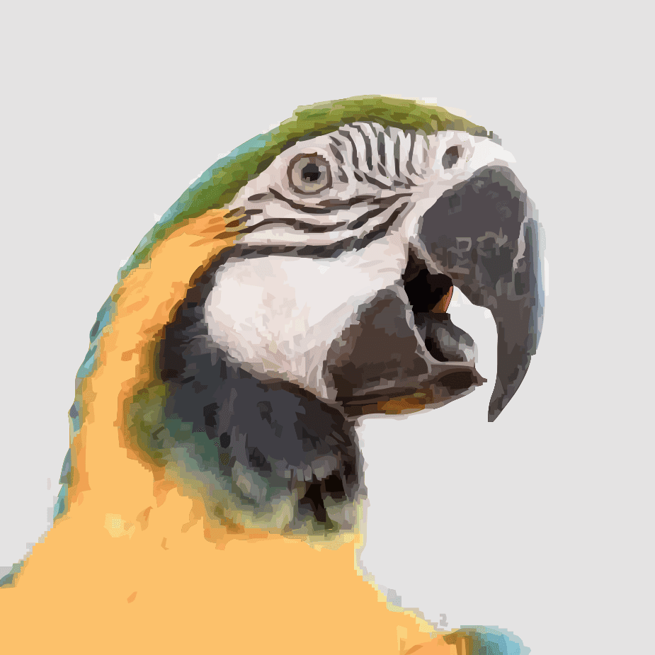 Pet Bird