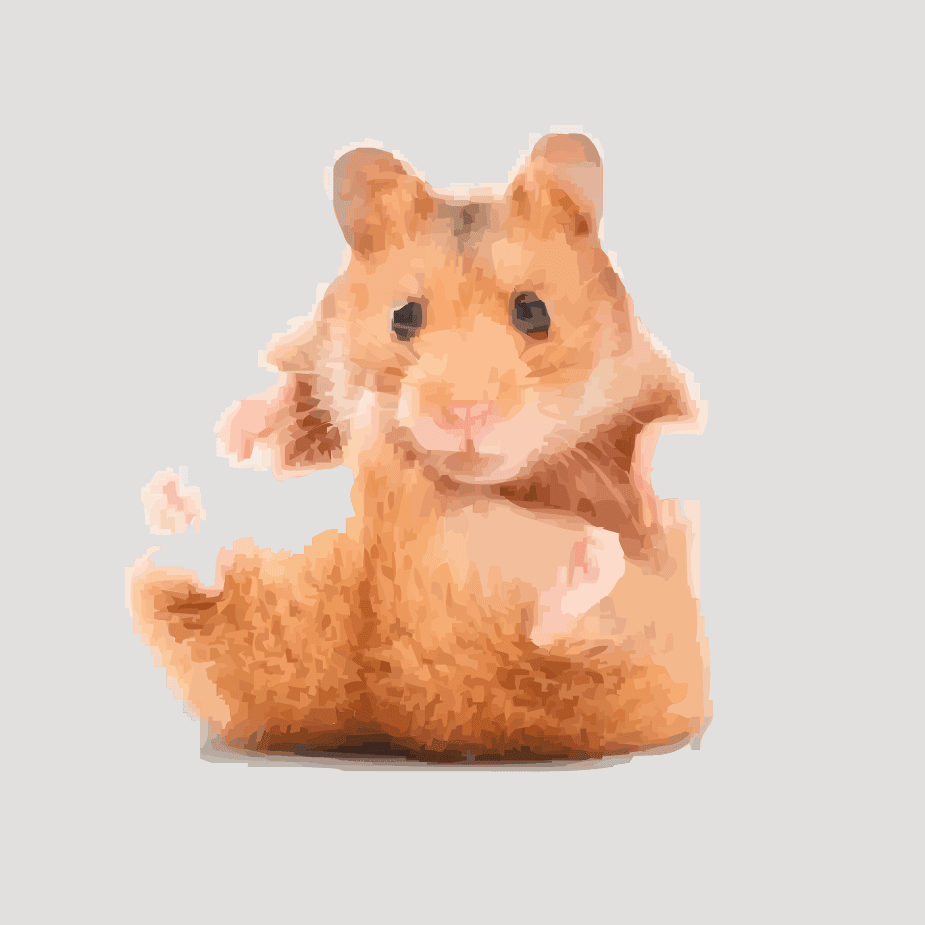 Small Pet