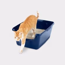 Litter Boxes & Accessories