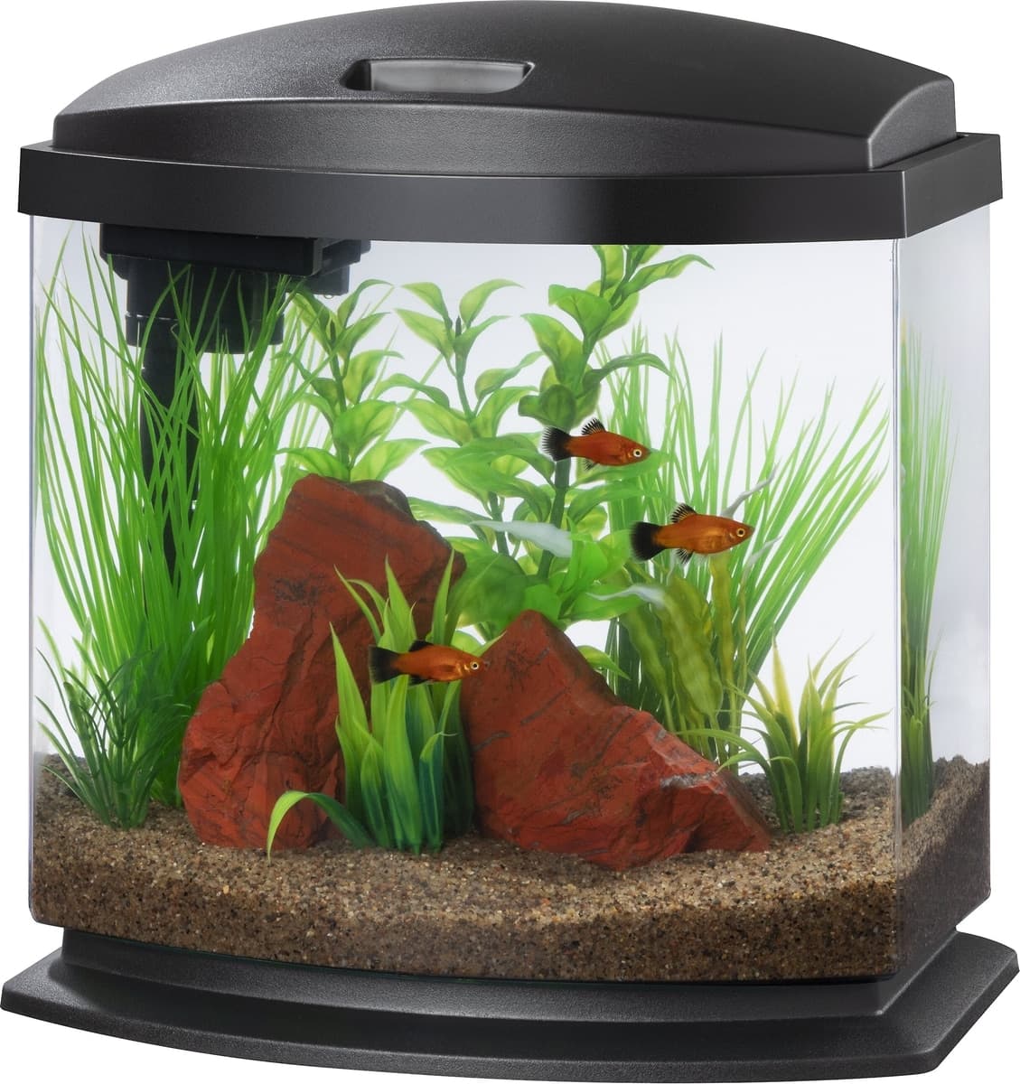 Aqueon product image